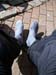 090531_Tourbild_11