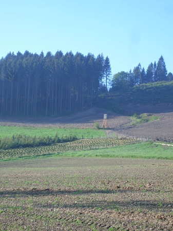 01 20100523 Richtung Meschede (2)