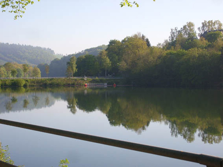 02 20100523 Hennesee (1)