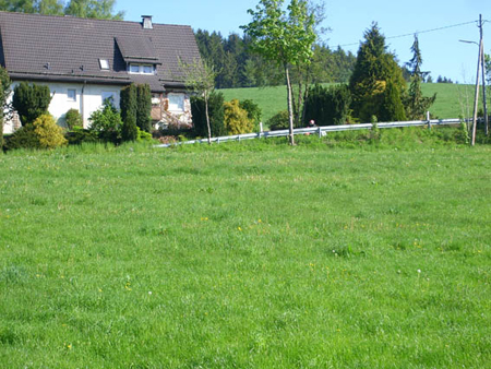 03 20100523 Richtung Schmallenberg (1)