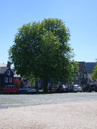 04 20100523 Schloss Berleburg (1)