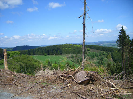 06 20100523 Hesborn Aussichtsturm (14)