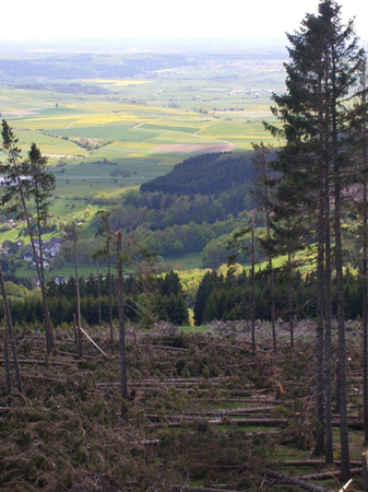 06 20100523 Hesborn Aussichtsturm (8)