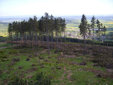 06 20100523 Hesborn Aussichtsturm (9)
