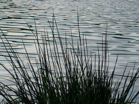 07 20100523 Voehl Herzhausen (13)